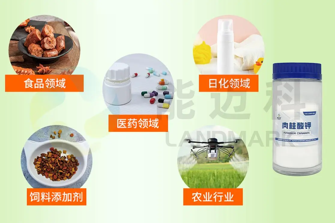 高評分廠家匯總：肉桂酸鉀防腐劑在食品加工中的實力廠家推薦